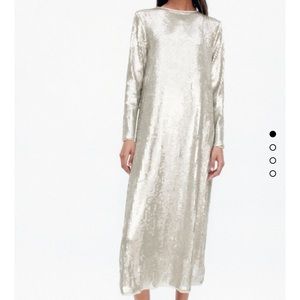 Zara sequin knit dress